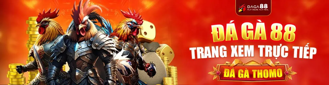 Luật chơi và trò chơi mv9bet