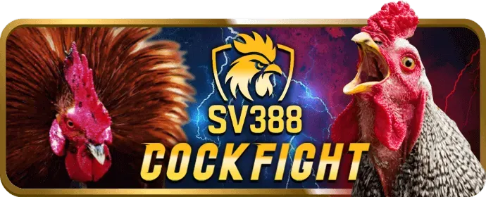 Các chương trình khuyến mãi mv9bet